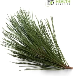 Levensmiddelen Dranken Winkel 21 Levensmiddelen Dranken Winkel -Levensmiddelen Dranken Winkel 1165x1200