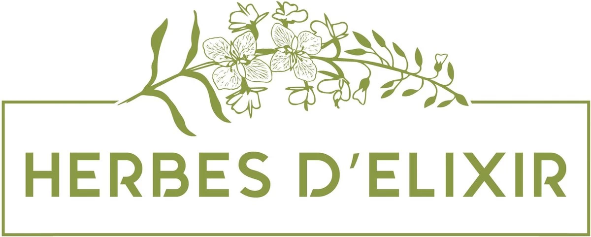 Blaas En Nieren Kruiden - Kruidenthee - Losse Thee - 100 Gram 3 Blaas En Nieren Kruiden - Kruidenthee - Losse Thee - 100 Gram - Afbeelding 3